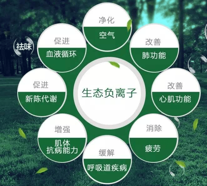 我们没办法常常去森林海边,但可以使用负氧离子生成机让我们居住环境