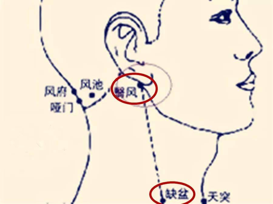 脖子上有一条大筋