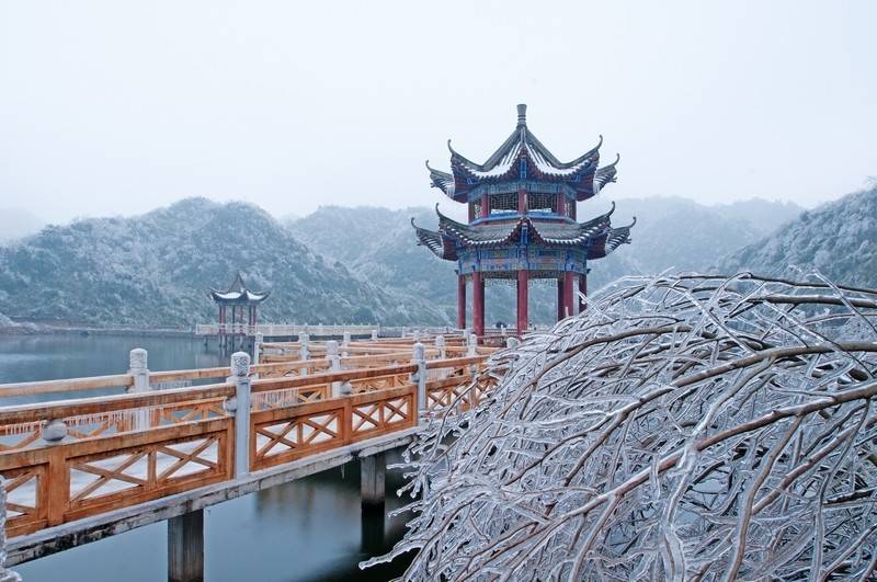 阳明山2022年雪景图片