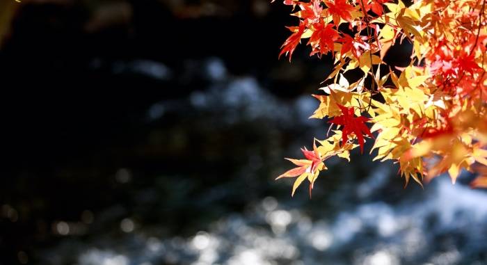 家电经销商要直面残酷现实，别再梦想一夜致富！-家电圈官网