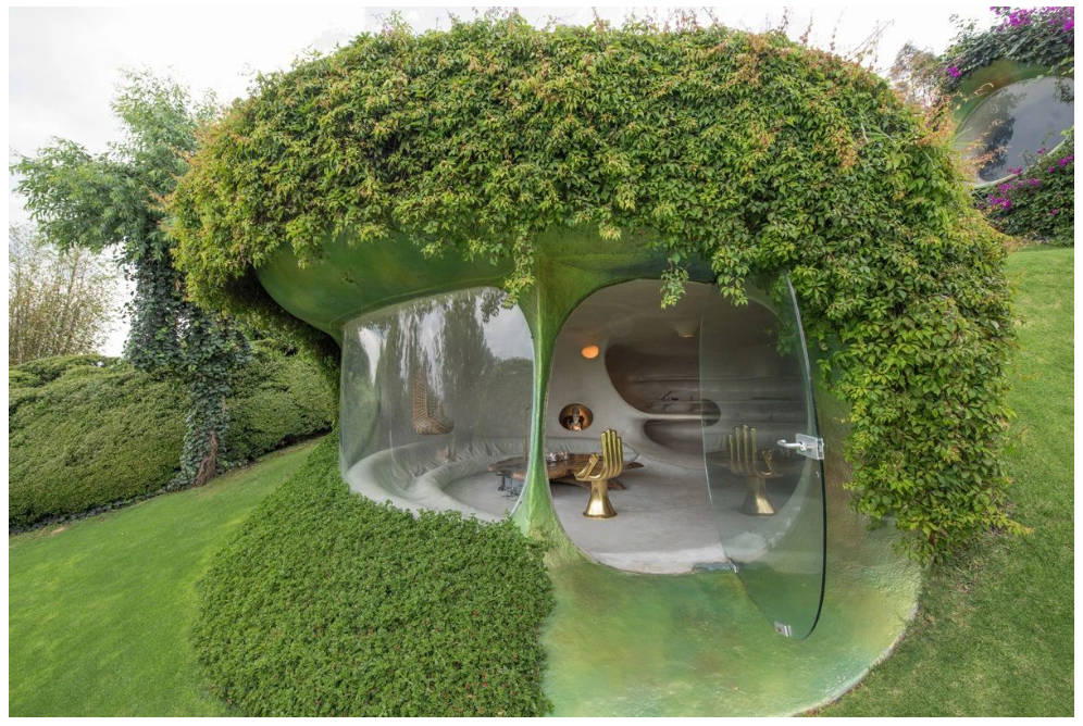 听说墨西哥发现了天线宝宝的住所?