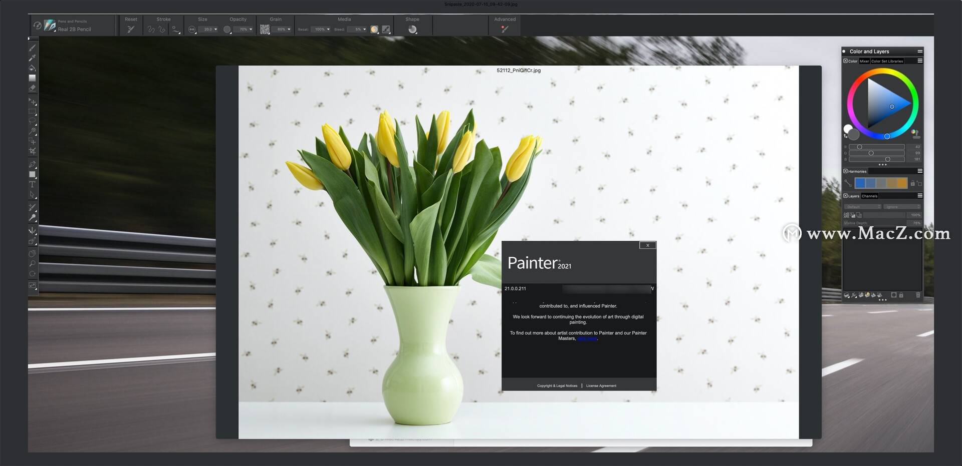 corel painter 2021 for mac(专业美术绘图软件) v21.0.0.211
