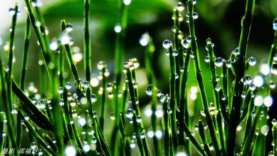 夜间水蒸气的蒸发,形成了露珠.