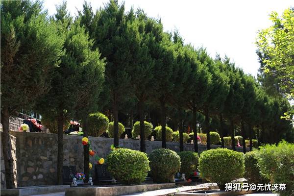 北京市昌平區,景仰園陵園,陵園樹葬墓地價格_費用