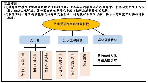 肝衰竭修復替代治療的現狀與發展對策