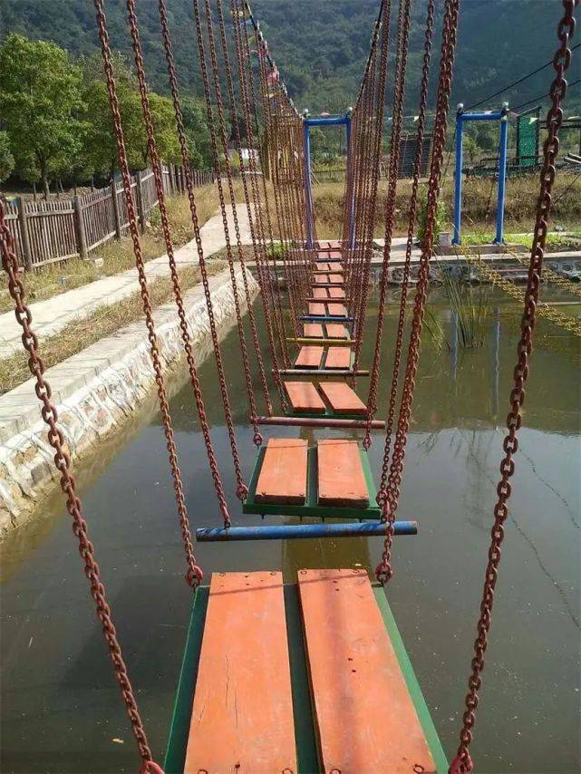 7月18日,卧龙湾森林水乐园开园啦!