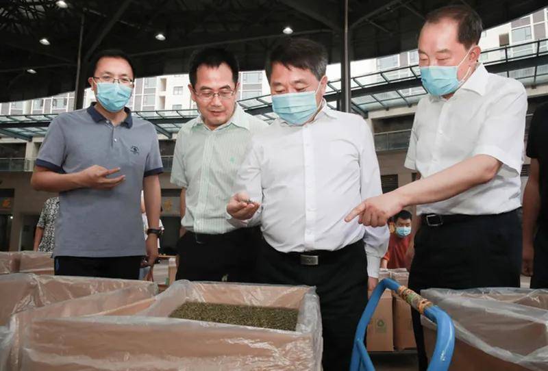 四川省委常委,常务副省长罗文赴雅安调研产业发展,项目建设,防汛救灾