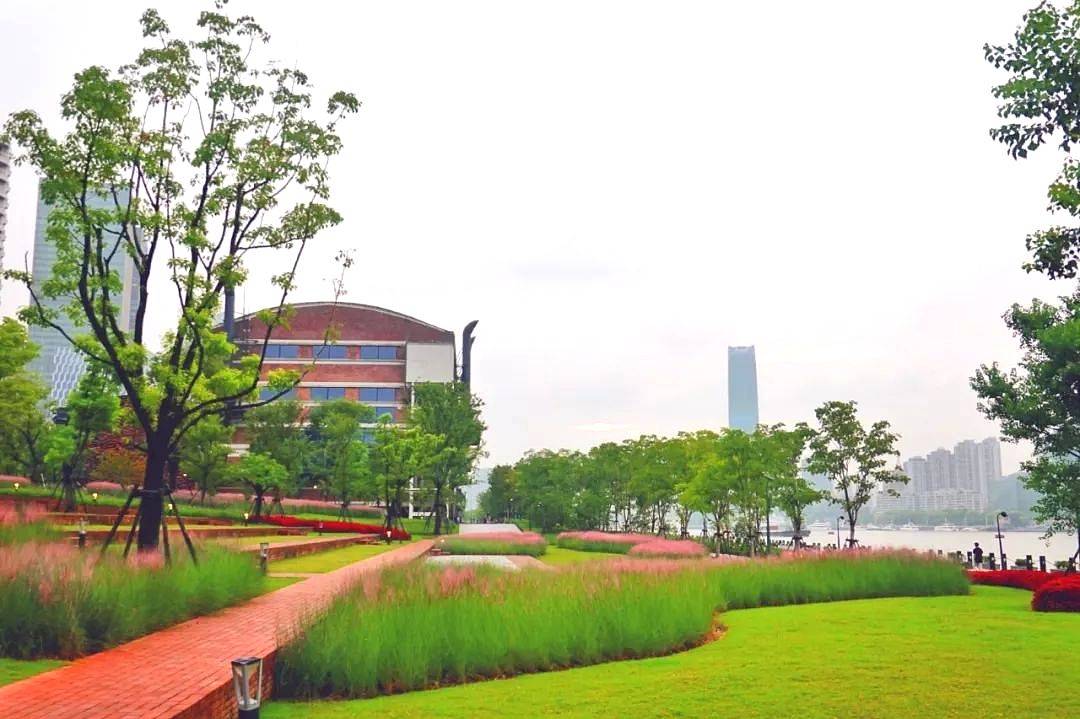 打造童话中梦幻的花海,种上这观赏草就可以了