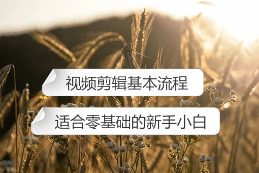 截取視頻中的音頻的軟件_快速的視頻截取接軟件_視頻截取gif軟件
