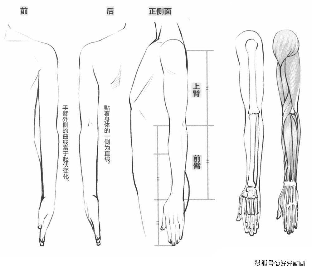 经验动漫人物手臂怎么画