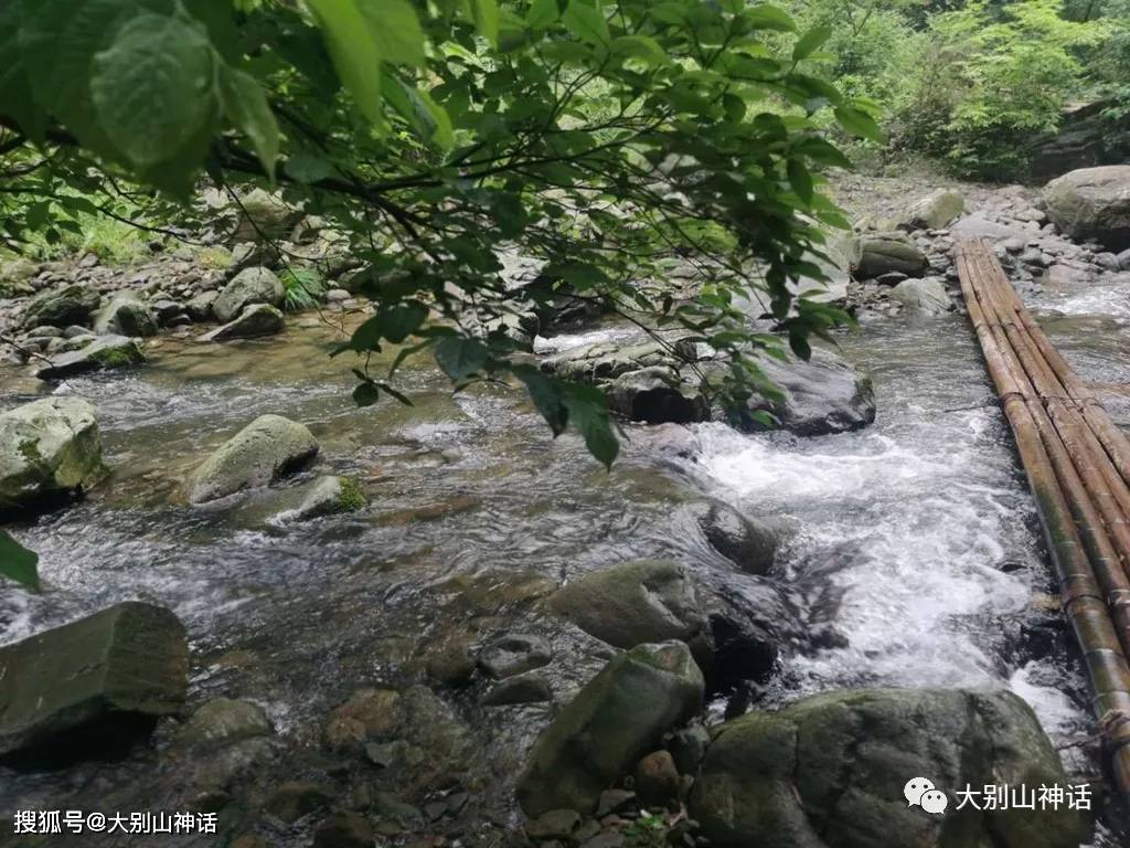 已從峰頂望瑤臺,野梅晨起登山有感