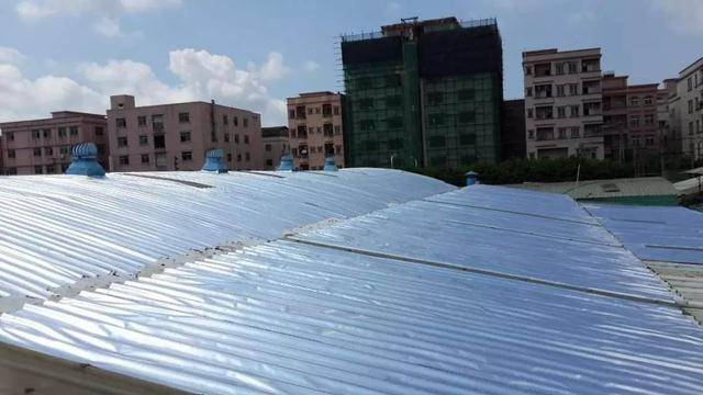 这什么隔热奇葩招数?朋友囤塑料瓶要往屋顶铺,室内温度能降10℃_效果