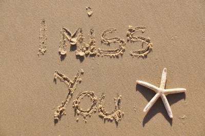 既然不在意 无人倾听 我无处安放 我便自己来听