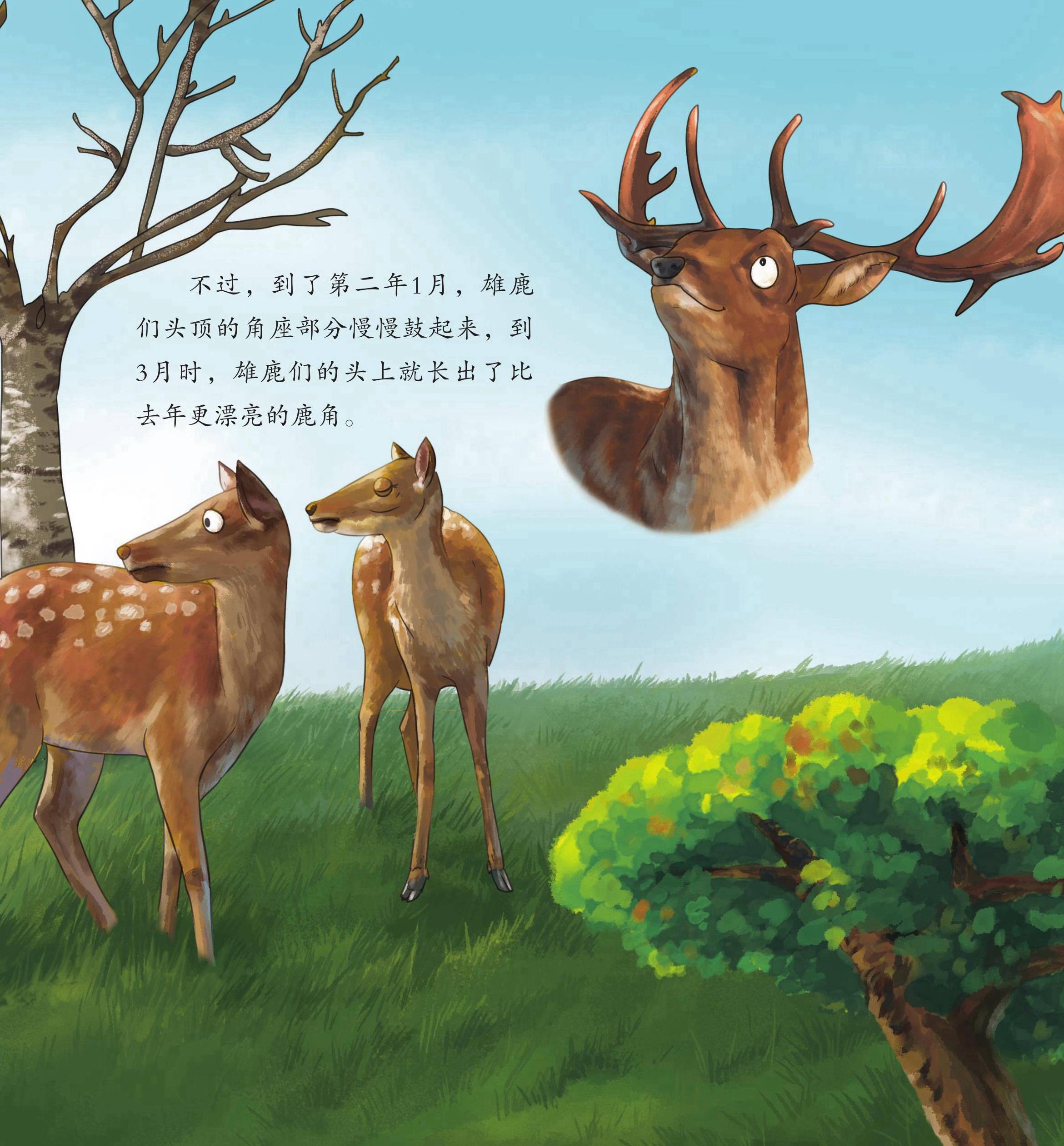 儿童绘本故事推荐《动物园里怪事多上》