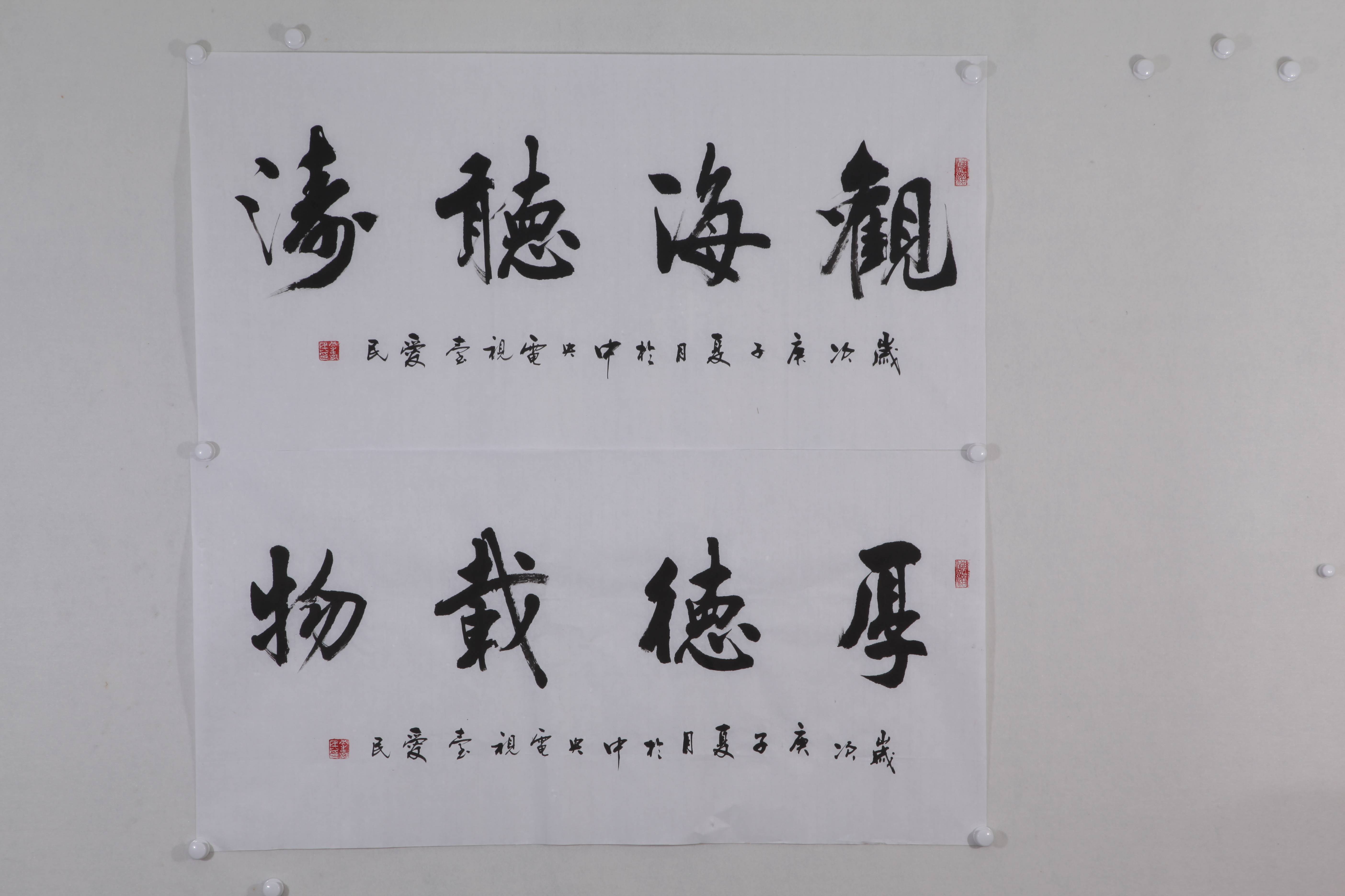 中央电视台李爱民书法作品欣赏