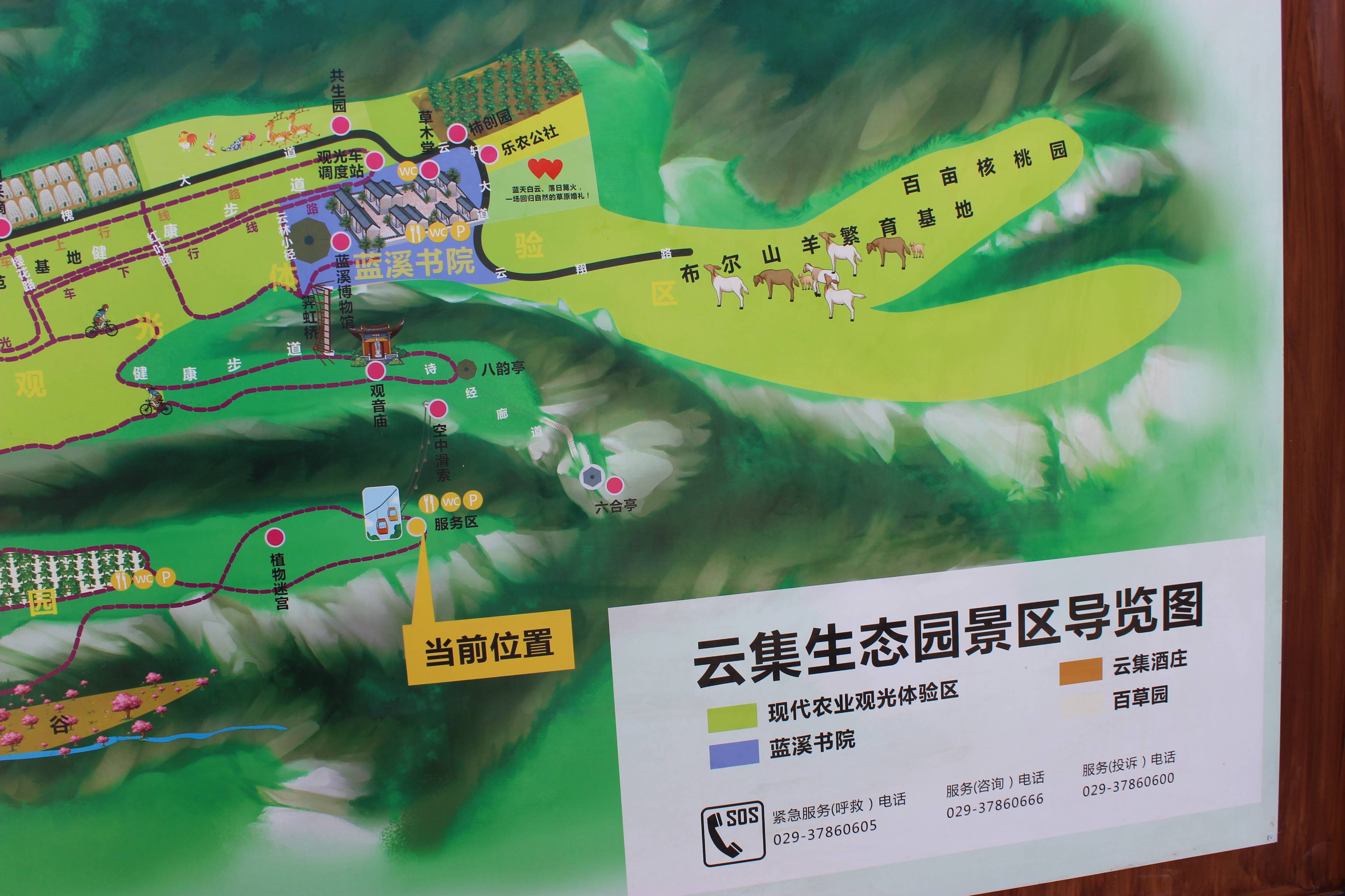天水林业调查规划设计