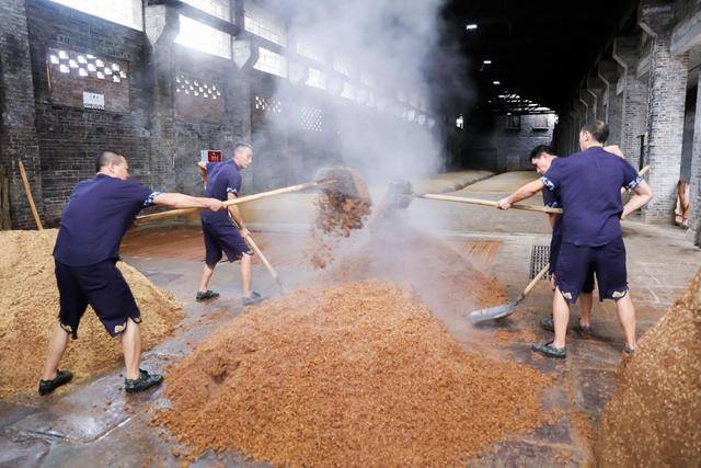 史上最舍得酒厂,传承千年的酿酒技艺征服全球,网友:太豪横了_中国