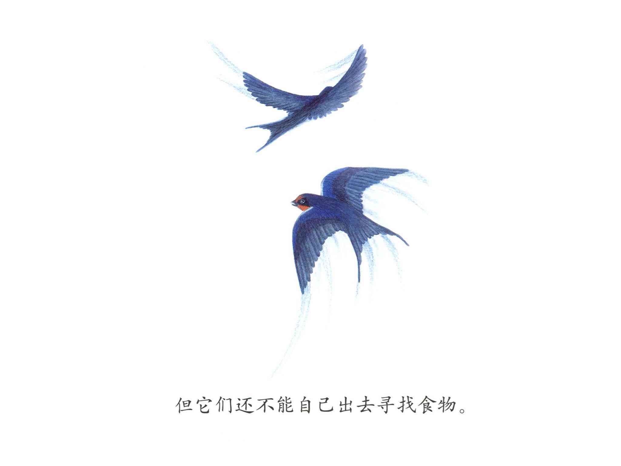 儿童绘本故事推荐衔来春天的燕子