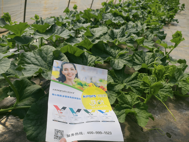 进口水溶肥和国产水溶肥,二者如何选择好
