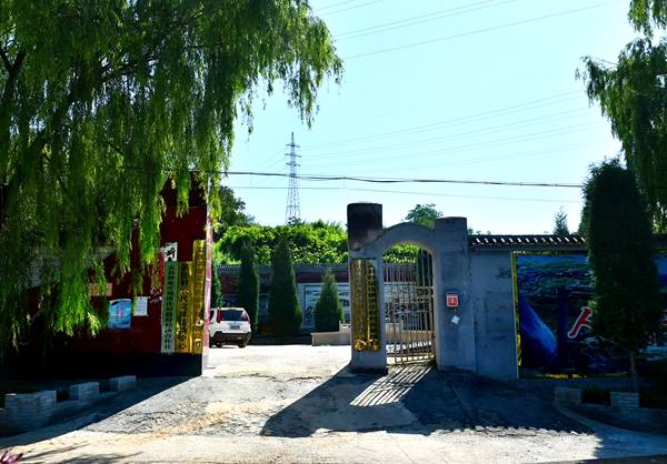 建设美丽乡村 盂县洪庄村"破茧成蝶"