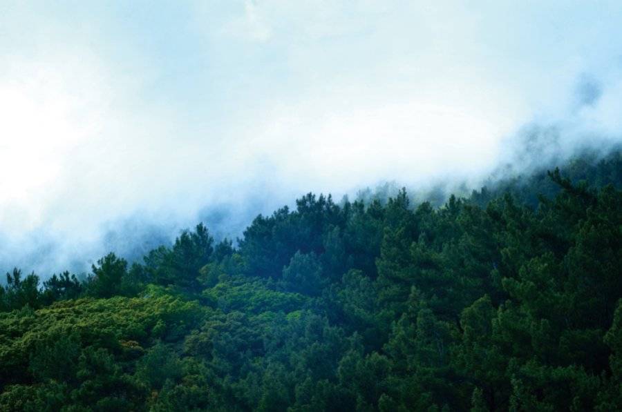 贵州安顺澳维夏天,藏着21℃夏天的栖居秘境