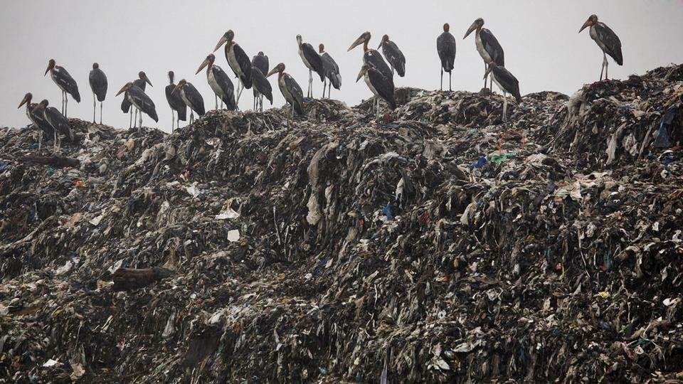 原创印度巨型垃圾场,每天接收500吨垃圾,却是当地贫民的捡宝圣地