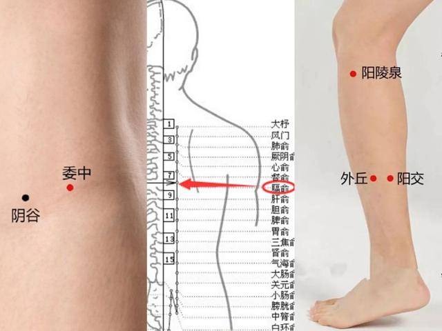 河北名醫於書莊針刺膈俞委中陽陵泉治頭痛腦外傷後頭痛案