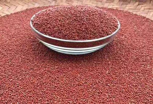 在䅟子酒中,桂东县高隆仙穇子酒又拔得头筹.