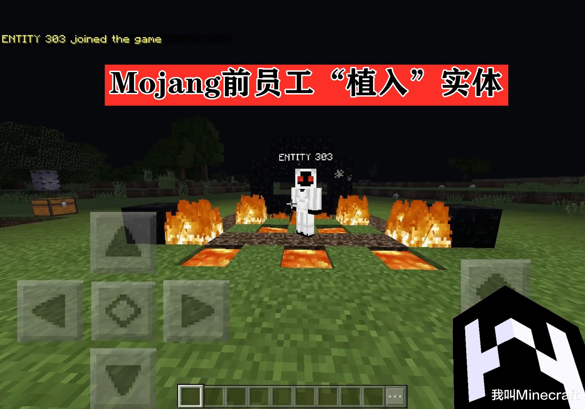 03,mojang前员工entity 303