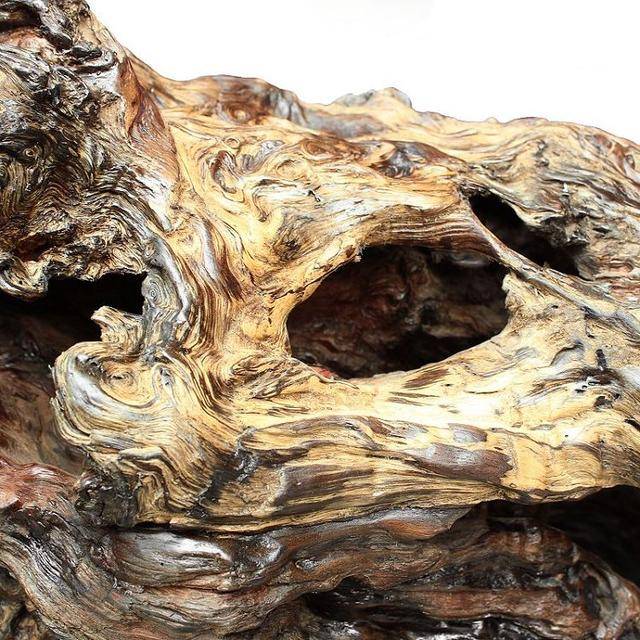 水沉木,顾名思义就是放在水里不会浮起来的木头.