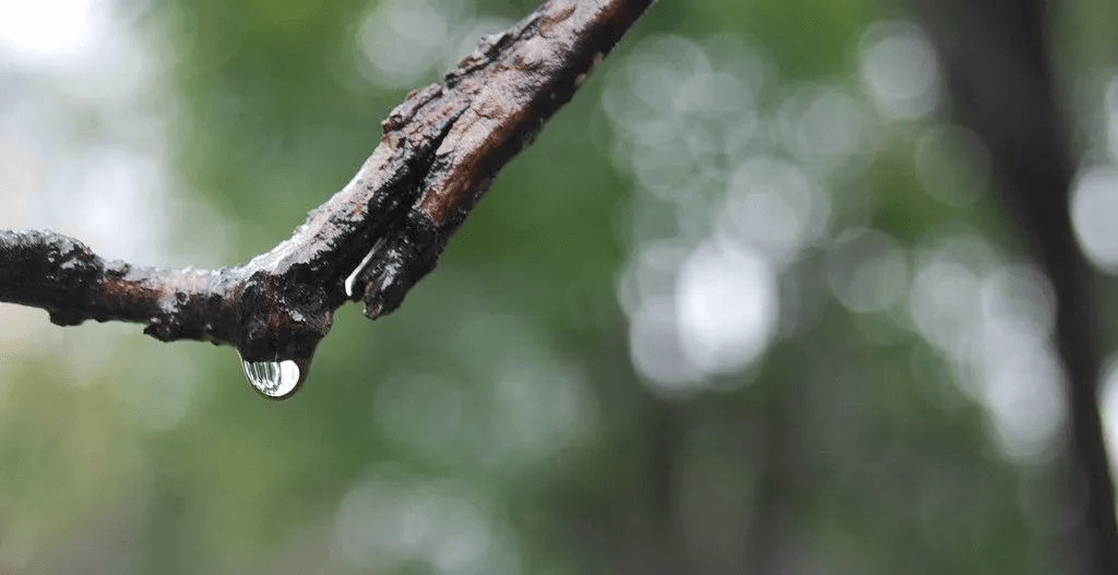土润溽暑大雨时行