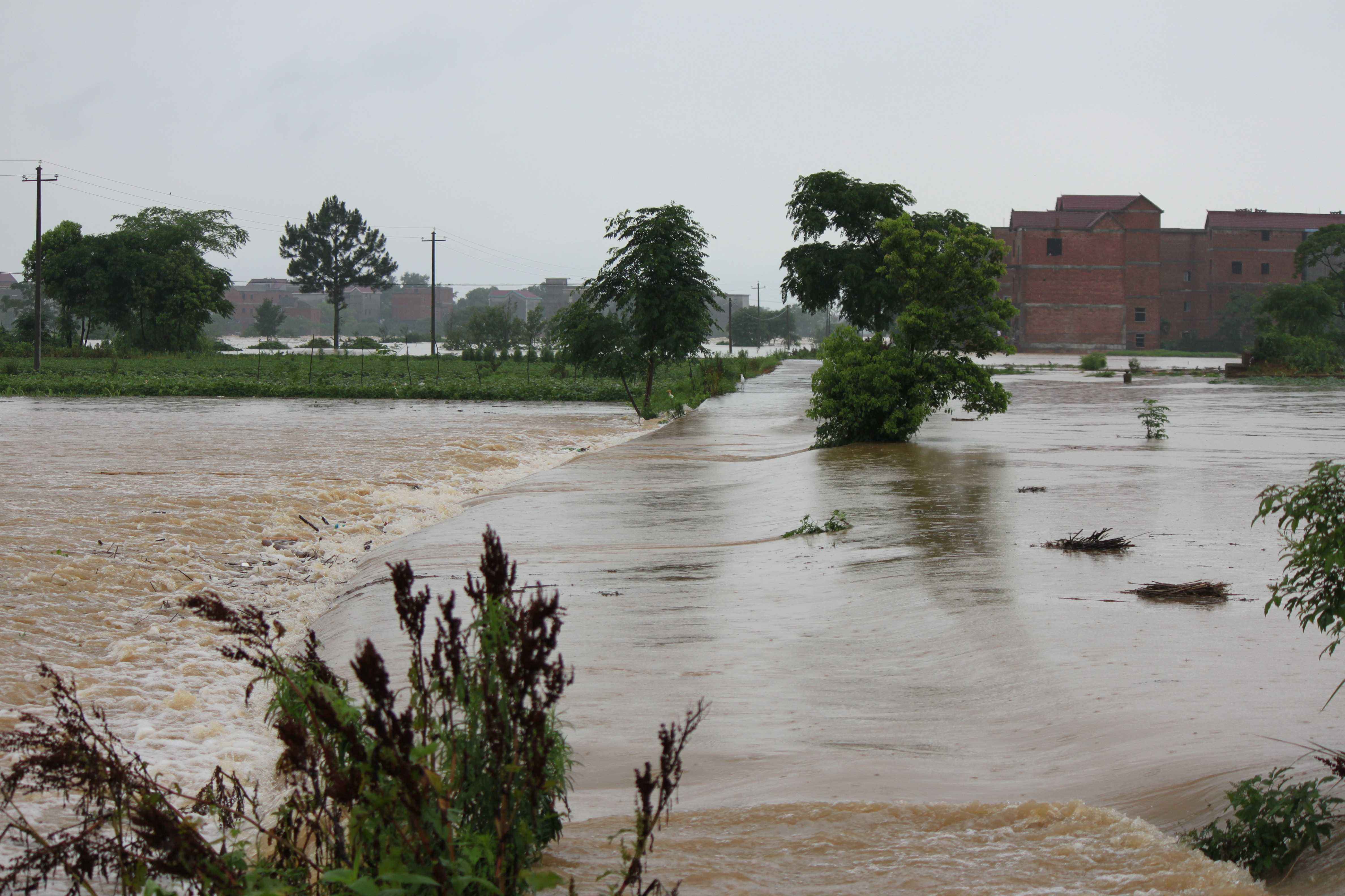 深圳应急科普:洪涝灾害面前,如何逃生避险,自救互救?