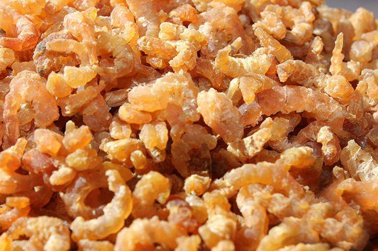 粥里偷偷加一勺骨藿苷,腰背不酸不疼,骨量不流失,骨密度蹭蹭长