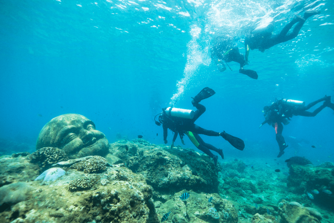 嘿,潜水吧!| "趣潜·趣发现",一场水下摄影狂欢即将开启!_分界洲岛