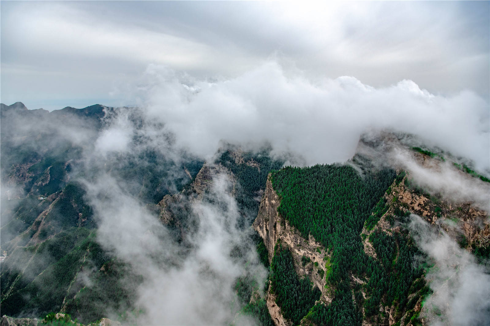盛夏雨后贺兰山云海美