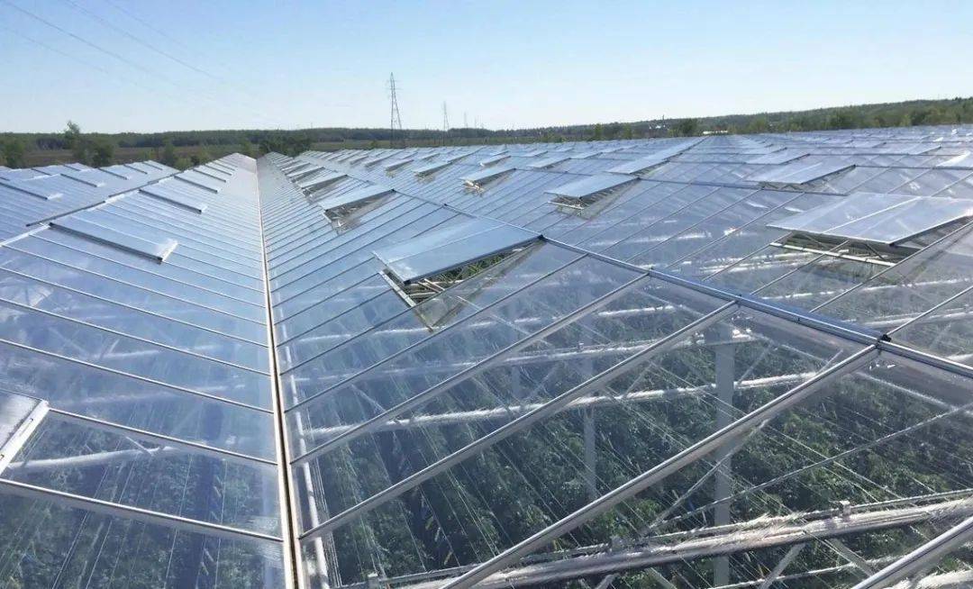 这样的玻璃温室你知道吗?