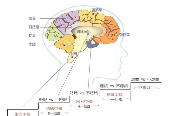 原创孩子情绪暴躁,和大脑发育有关,养成这三个习惯,好脾气从小培养