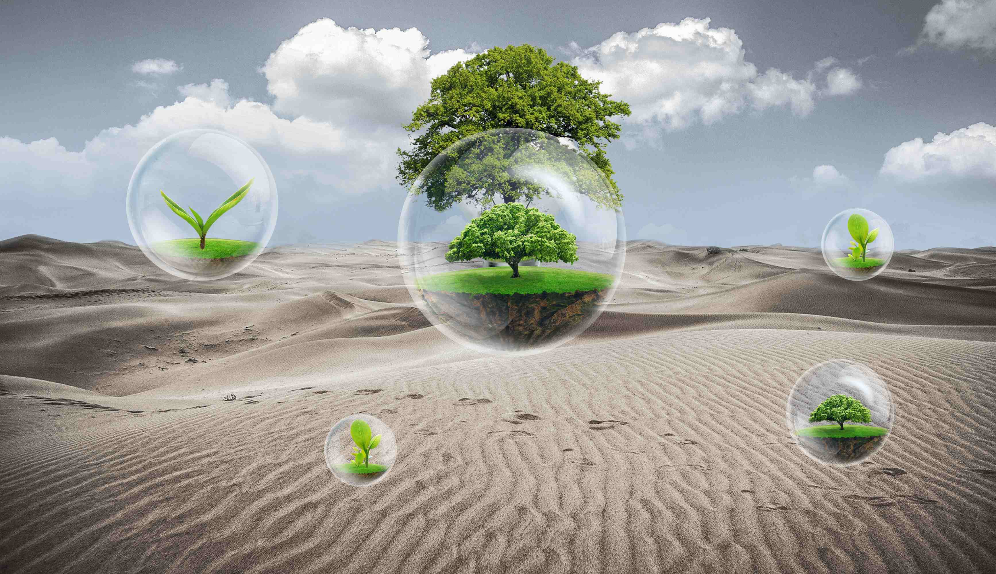 全国低碳日,能源e  智慧节能