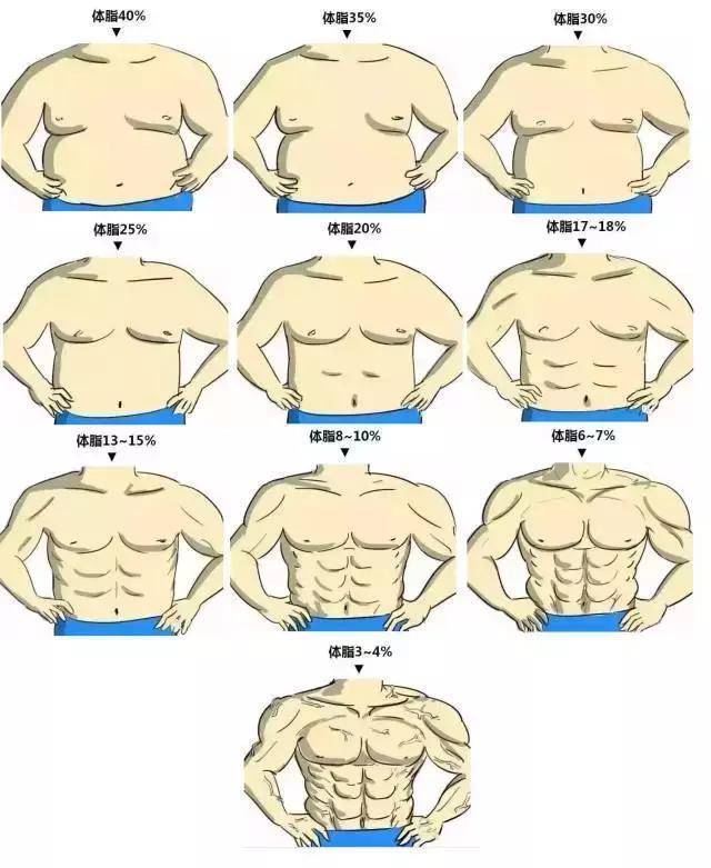 腹肌慢慢变化图图片