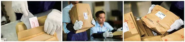 《我们的乐队》实力冠军,热血助力SAKURA樱花安检季