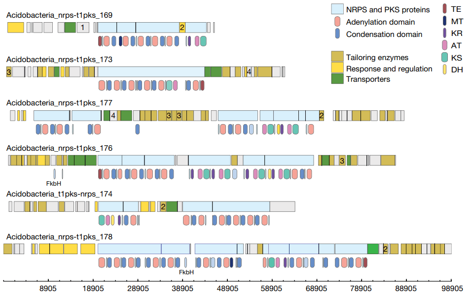 美格基因引入nanopore平台助力宏基因组三代测序