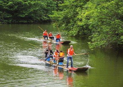 阆中杨家河一条小河波浪宽