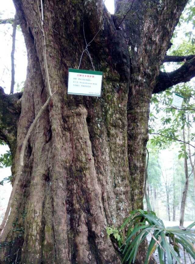 覓驩兜遺蹟,崇山料峭;劍鋒所向,亂石驚空.