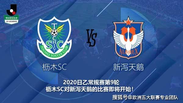 枥木sc vs 新泻天鹅 主队 枥木sc 近况