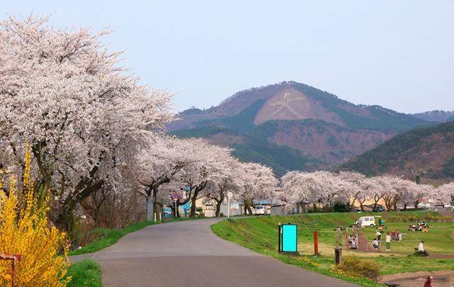 看完日本農村,再看看中國農村,才知道差距在哪裡