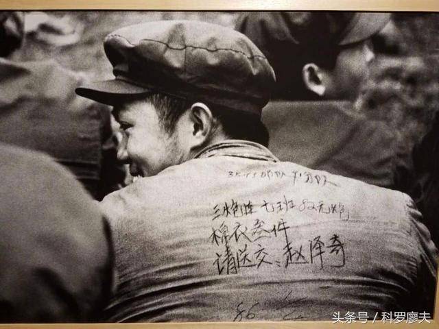 三炮是什么意思,三炮的真正意思别再搞笑了-团团金服
