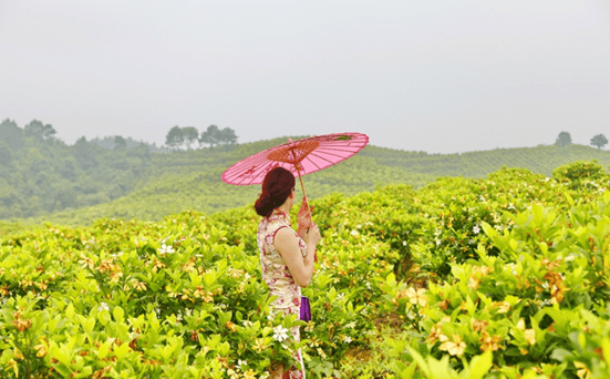 "度假石柱,最美黄水"石柱千野雅寓:重庆夏日的避暑天堂!