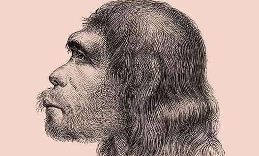 进化论存在难以解释的漏洞?