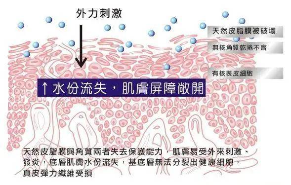 南京美容店的行业动态