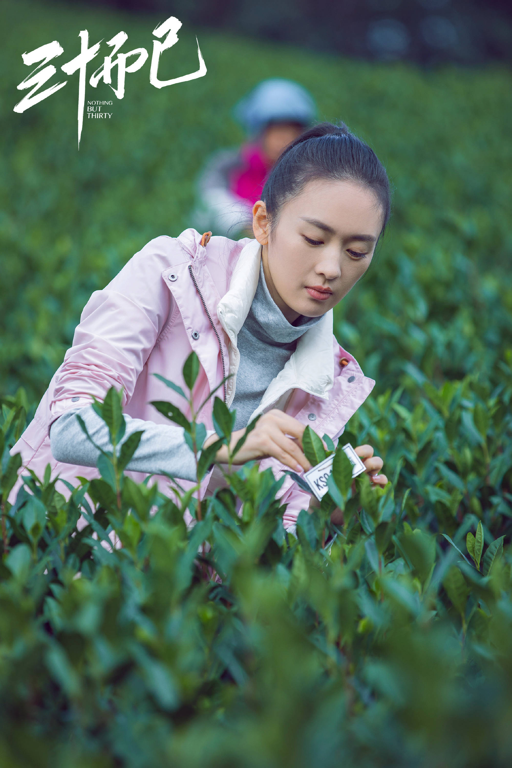 三十而已热播王漫妮开职场新副本芹屿cp甜蜜升级